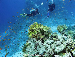 Diver on the right is shooting a shot. Ras Katy, Red Sea by Fatih Sökmen 